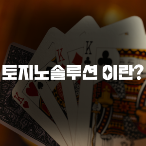 토지노솔루션이란